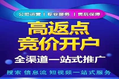 百度推广运营实战：中小企业如何突围